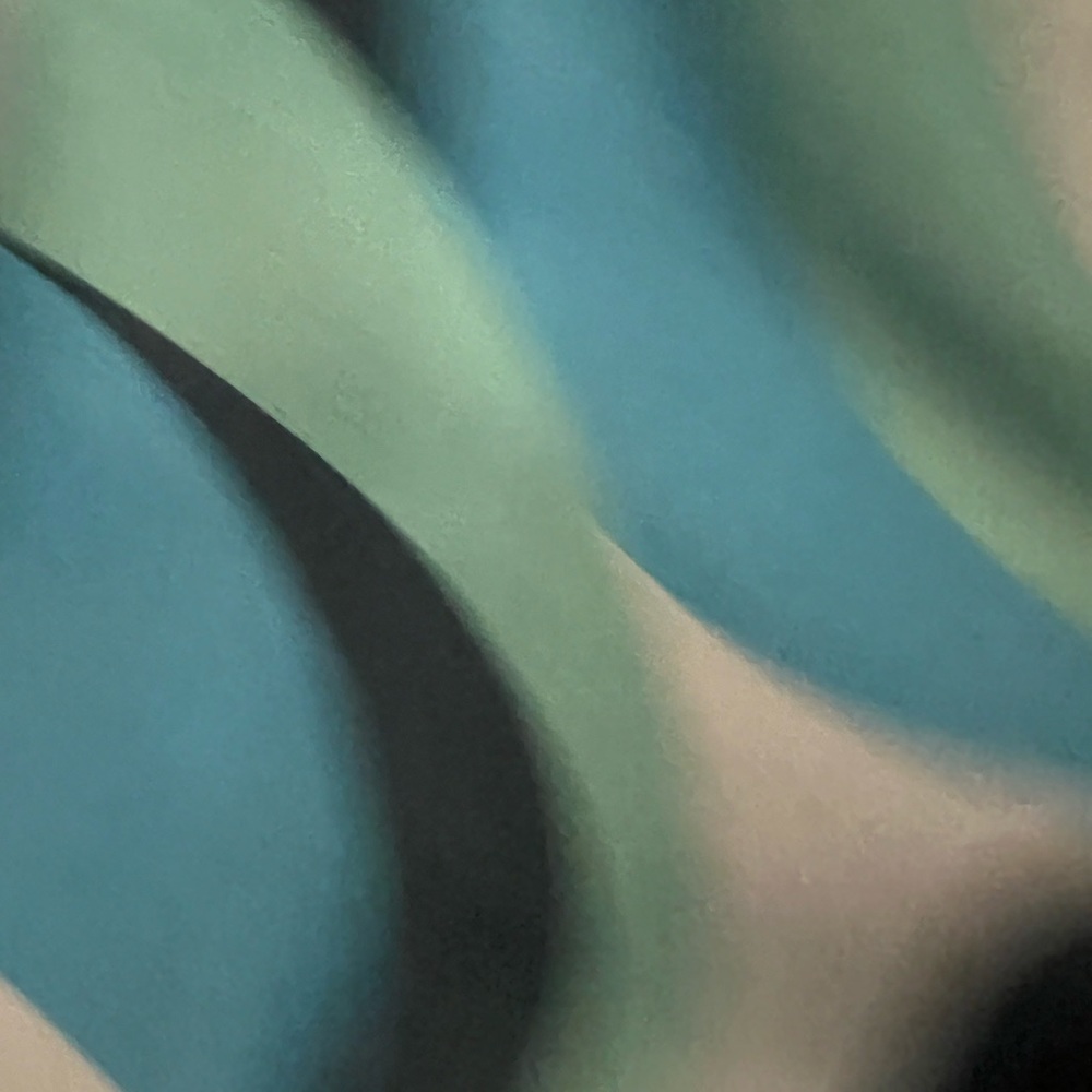 Pants - Picture 6 of 6